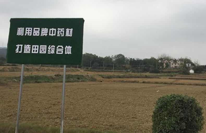 适合在冬季種植的中藥材