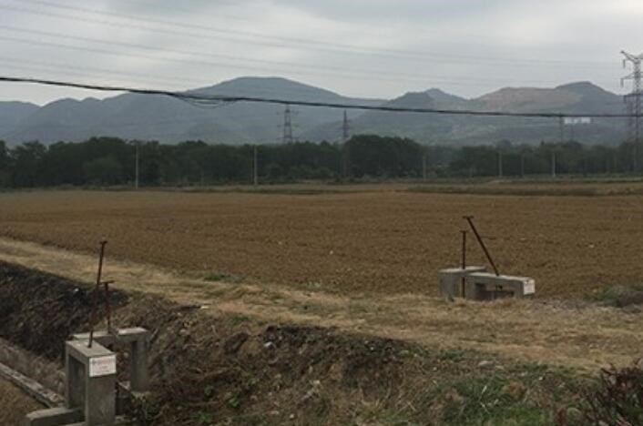 中藥材行業爲什麽會迎來種植熱潮？