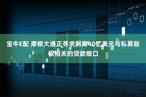 宝牛E配 摩根大通正寻求剥离40亿美元与私募股权相关的贷款敞口